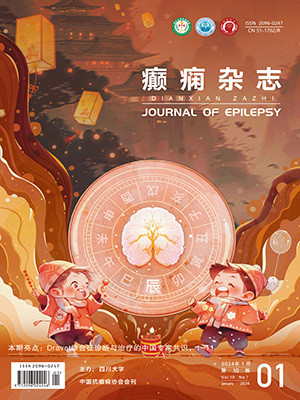 《癲癇雜志》
